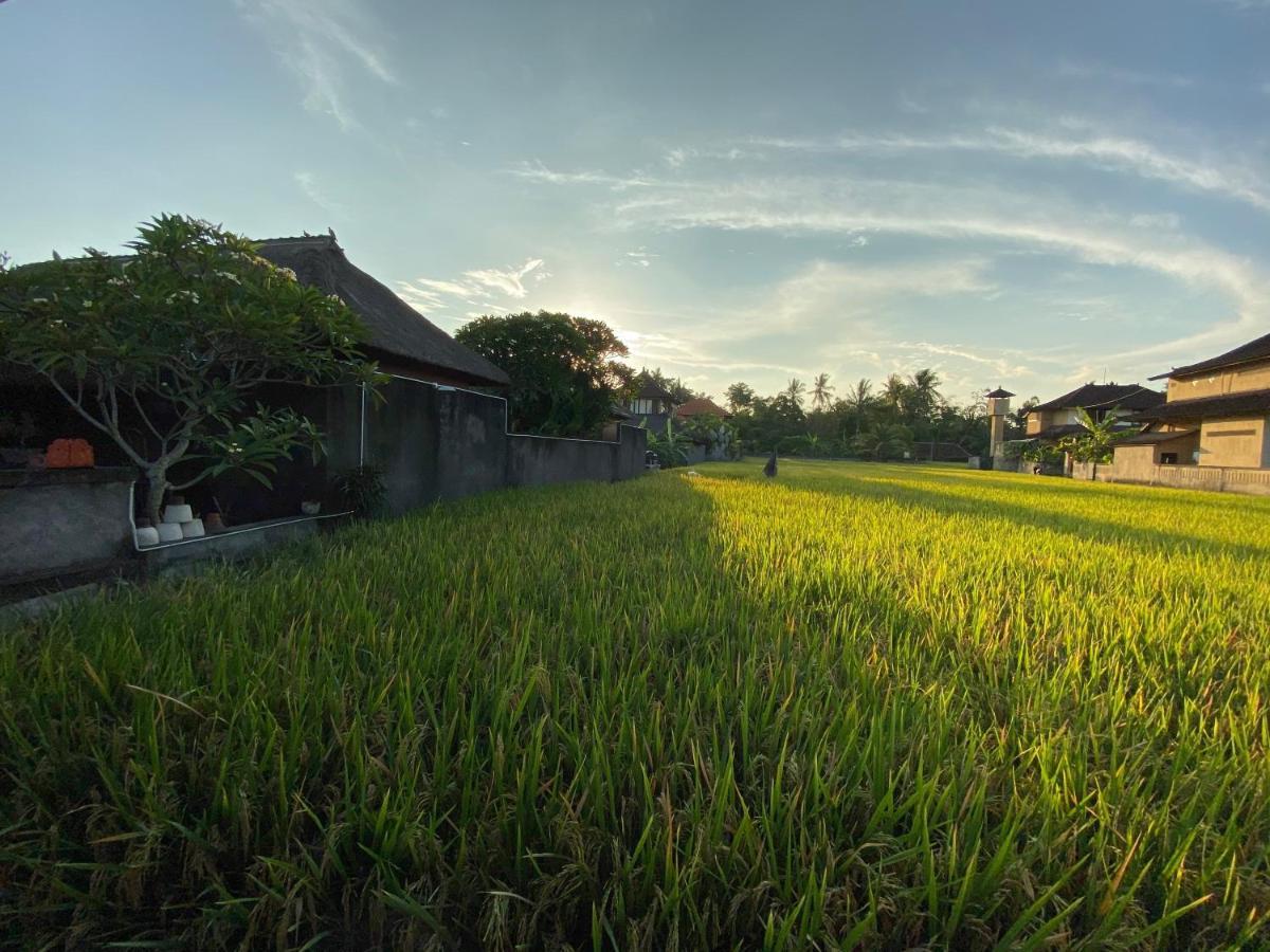 Rumah Dadong อูบุด ภายนอก รูปภาพ